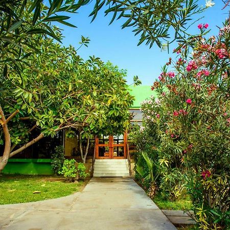 Hotel Del Valle Azapa Арика Екстериор снимка