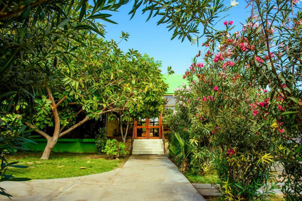 Hotel Del Valle Azapa Арика Екстериор снимка